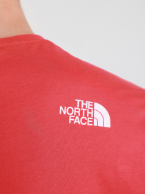 Футболки і поло The North Face RUST 2 модель NF0A4M68V341 Фото