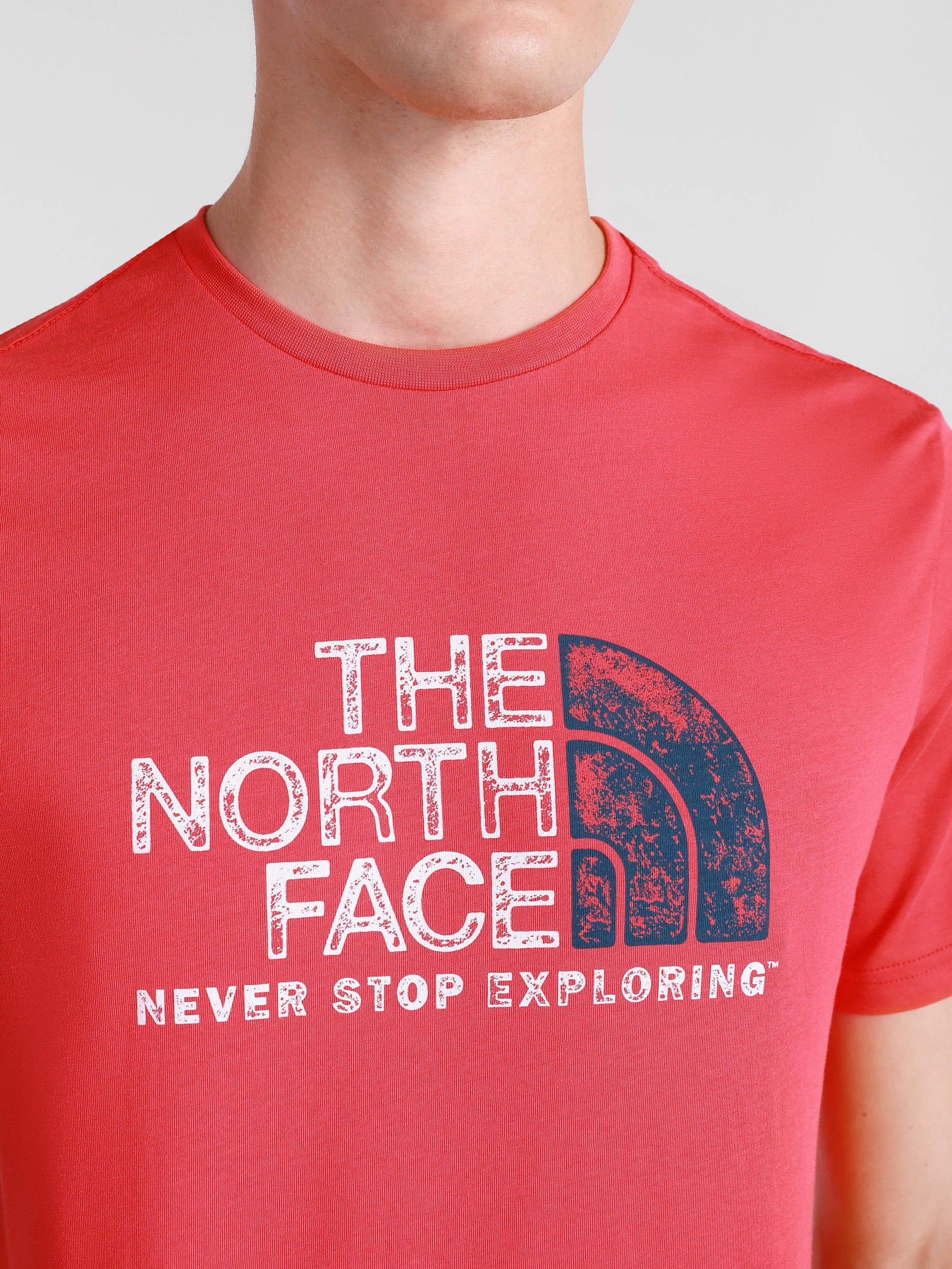 Футболки і поло The North Face RUST 2 модель NF0A4M68V341 Фото