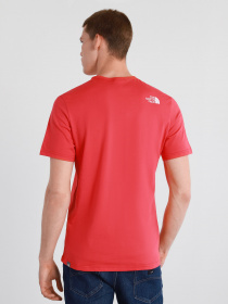 Футболки і поло The North Face RUST 2 модель NF0A4M68V341 Фото