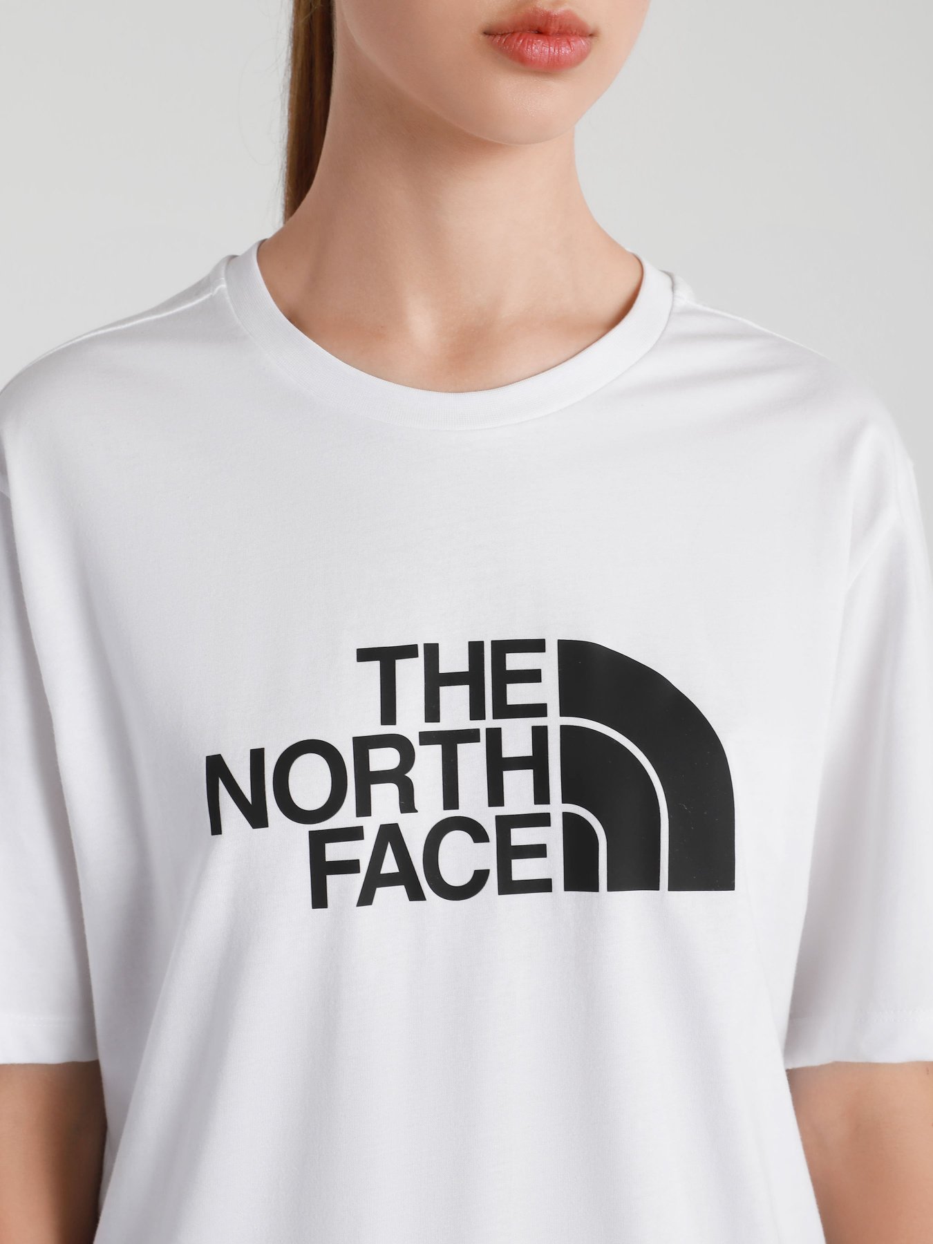 Футболка The North Face Easy модель NF0A4M5PLA91 Фото