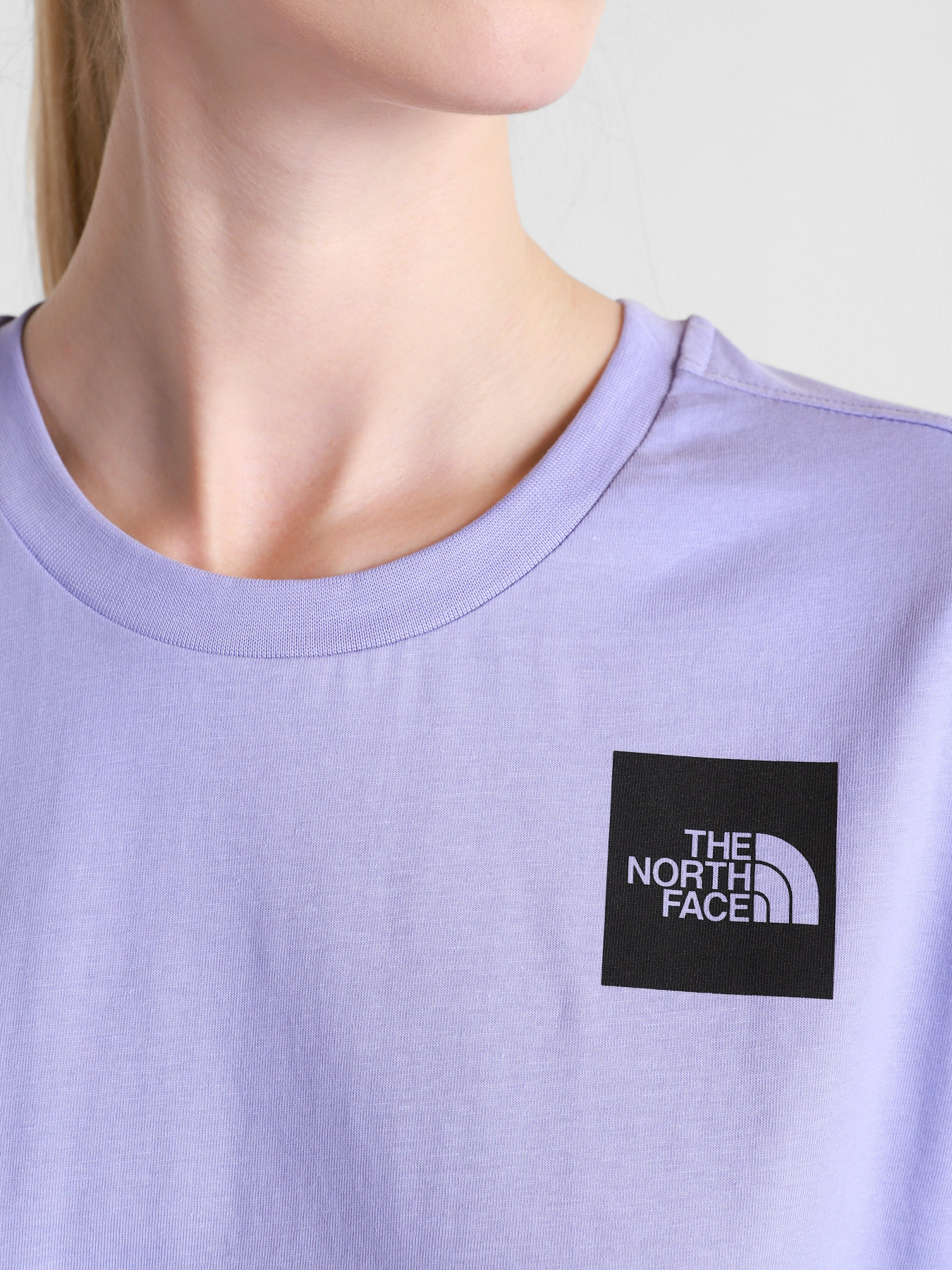 Футболки і поло The North Face Boyfriend модель NF0A4SYAW231 Фото