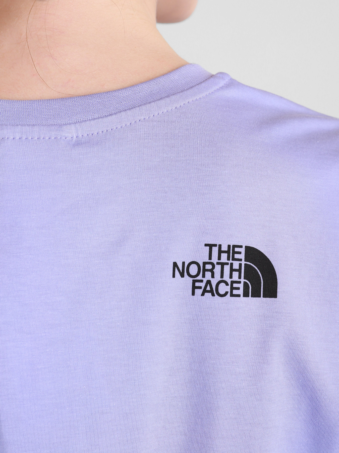 Футболки і поло The North Face Boyfriend модель NF0A4SYAW231 Фото