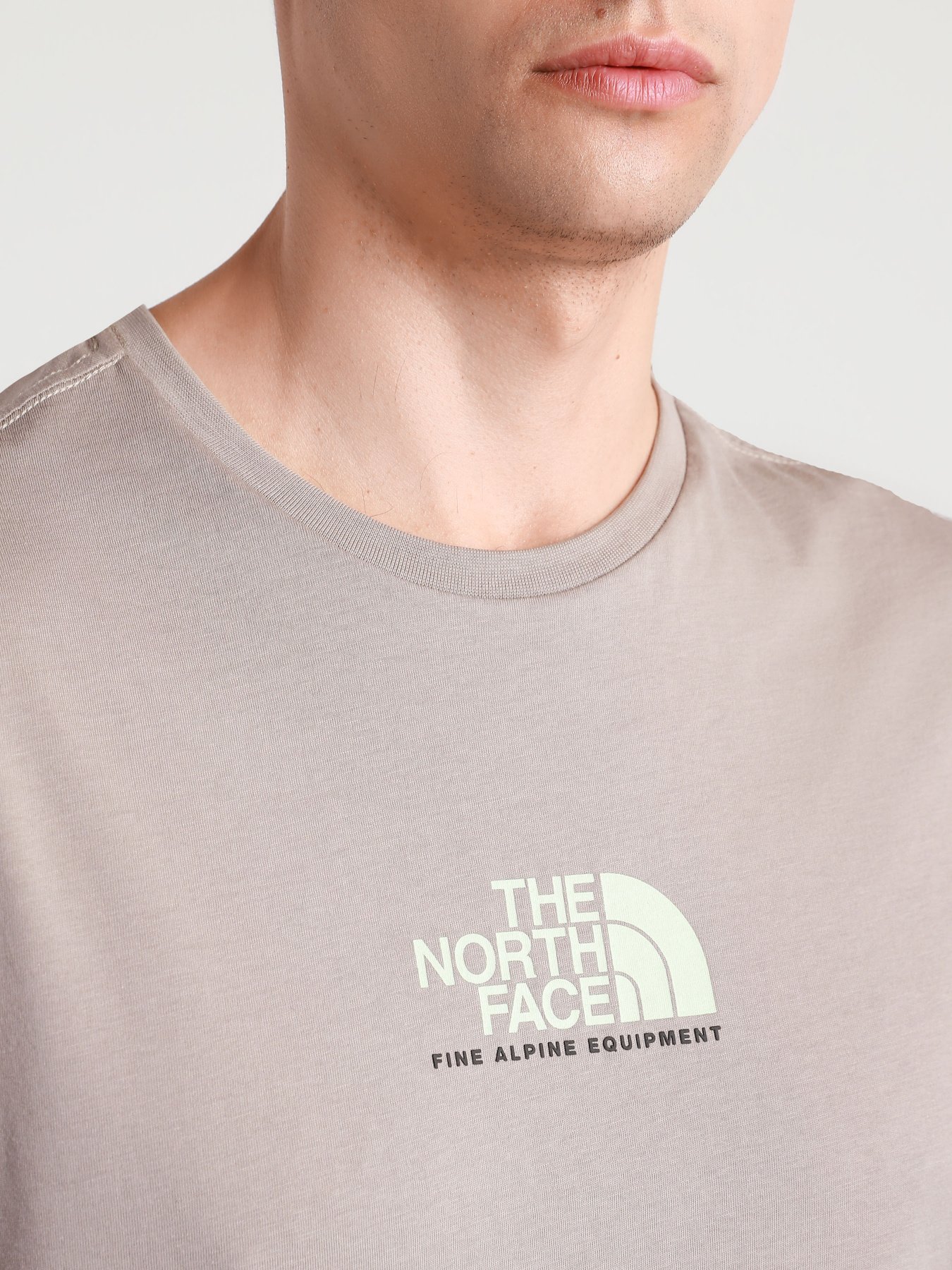 Футболки і поло The North Face Fine Alpine Equipment модель NF0A4SZUVQ81 Фото