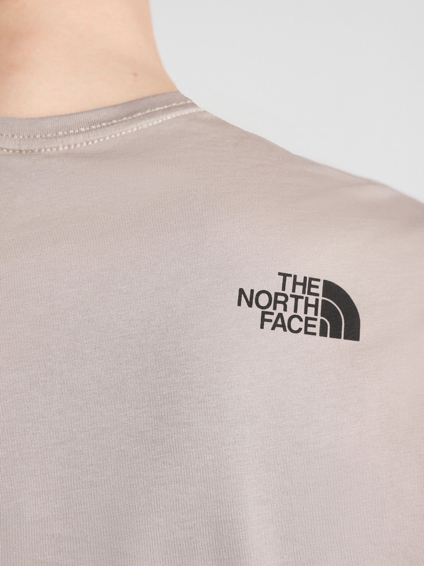 Футболки и поло The North Face Fine Alpine Equipment модель NF0A4SZUVQ81 Фото