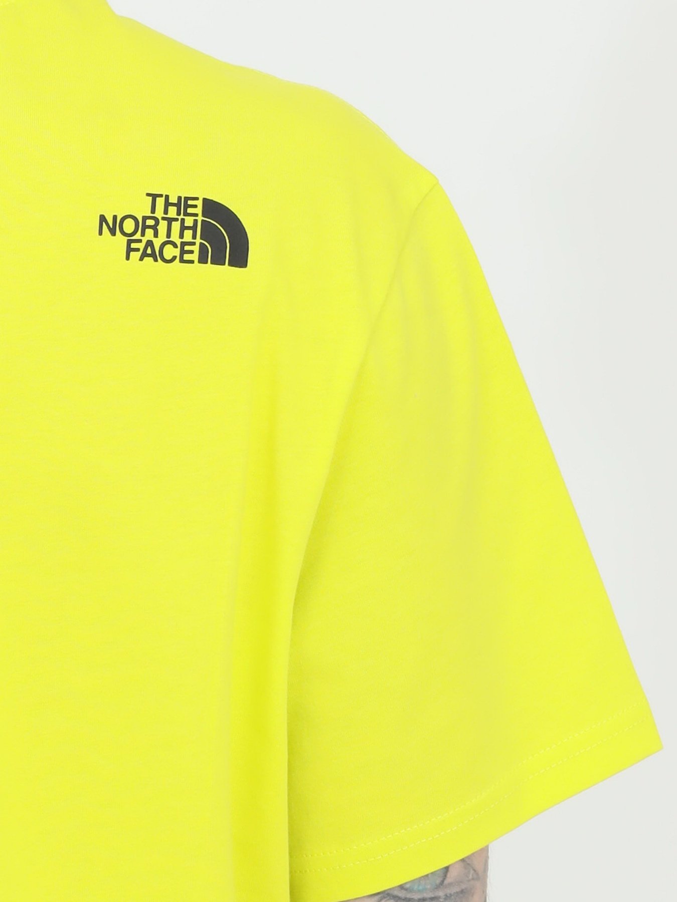 Футболка The North Face S/S Fine модель NF00CEQ5JE31 Фото