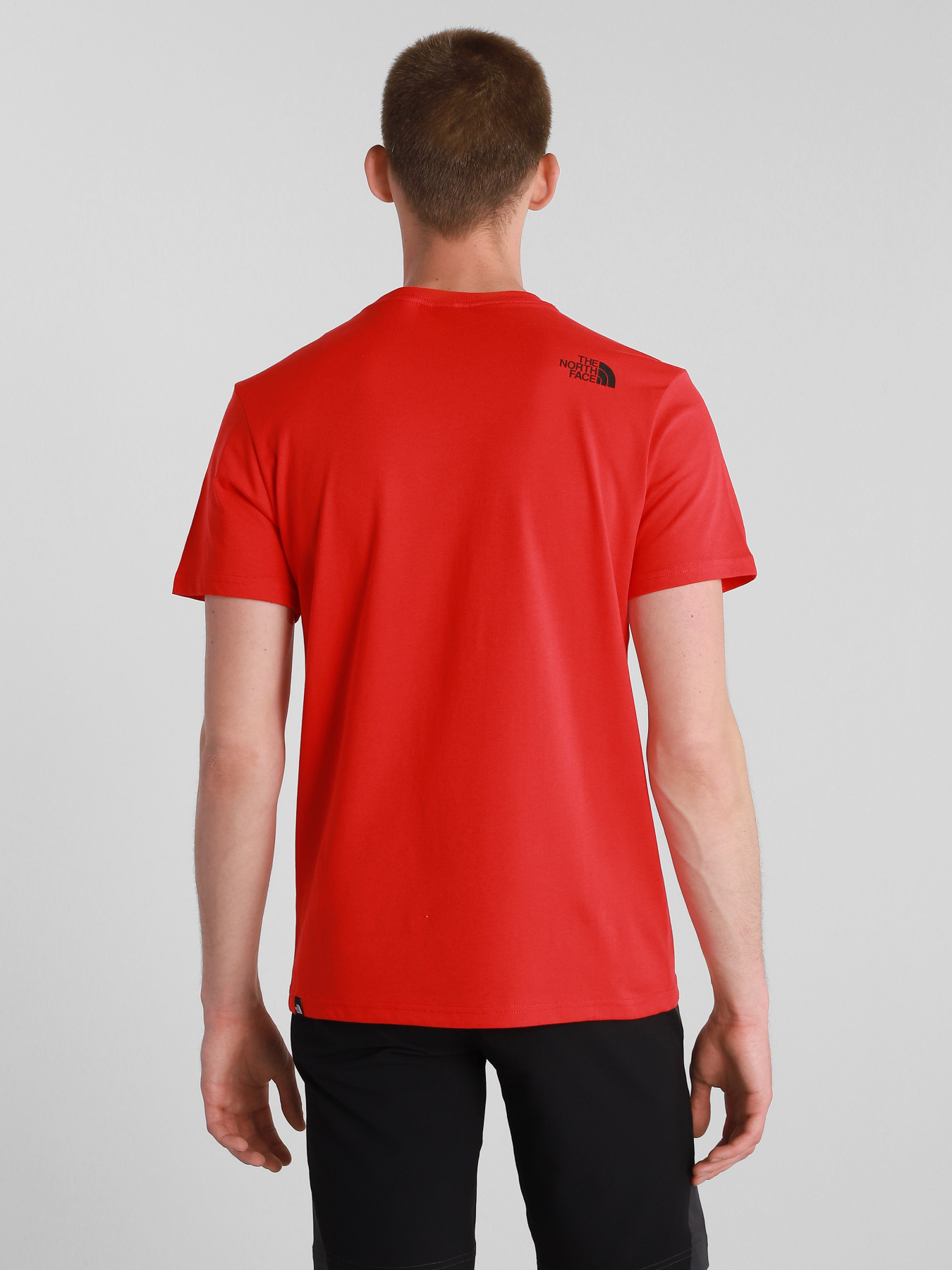 Футболка The North Face S/S Fine модель NF00CEQ5V331 Фото