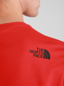 Футболка The North Face S/S Fine модель NF00CEQ5V331 Фото