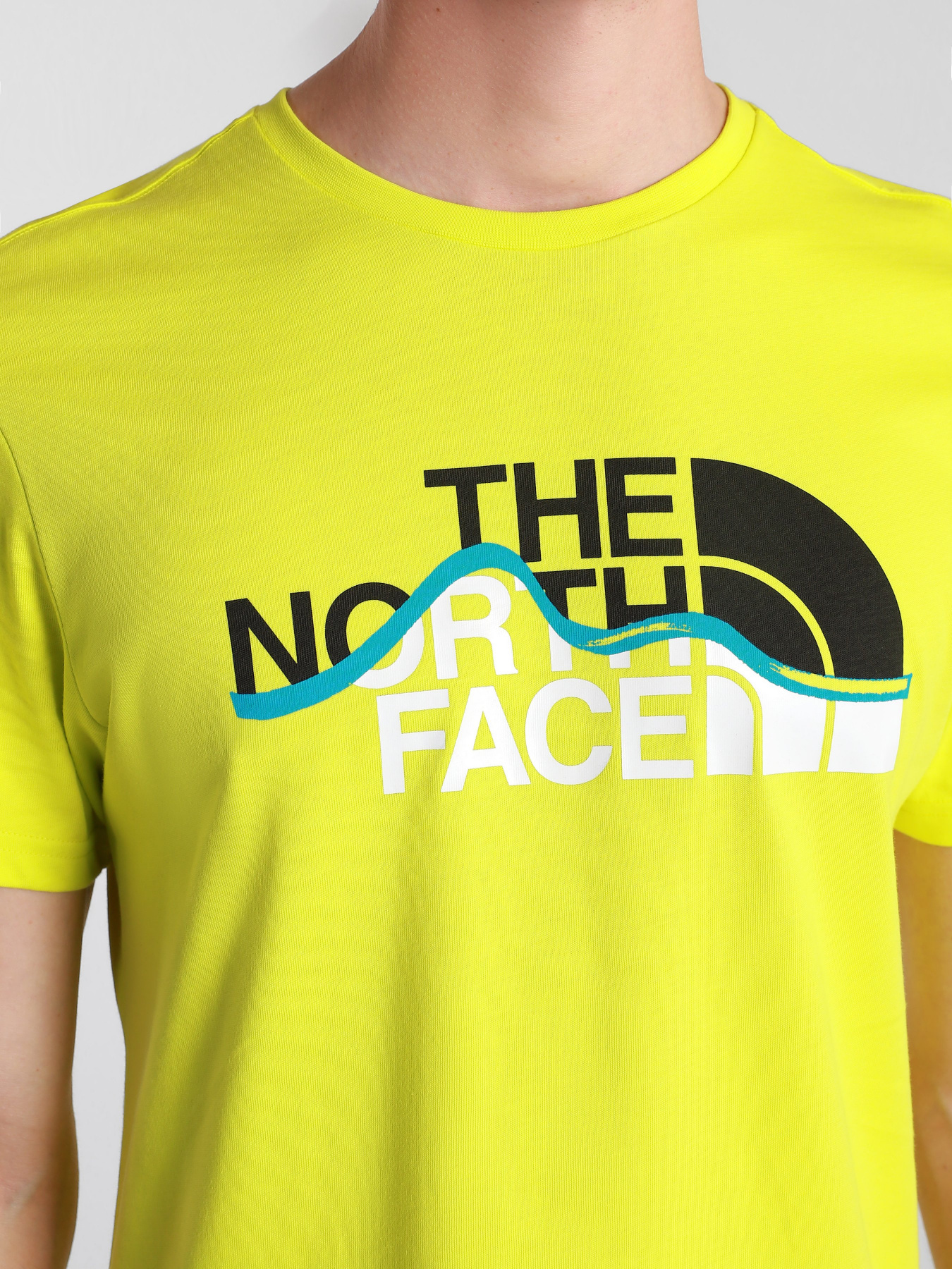 Футболки і поло The North Face S / S Mountain Line Tee модель NF00A3G2JE31 Фото