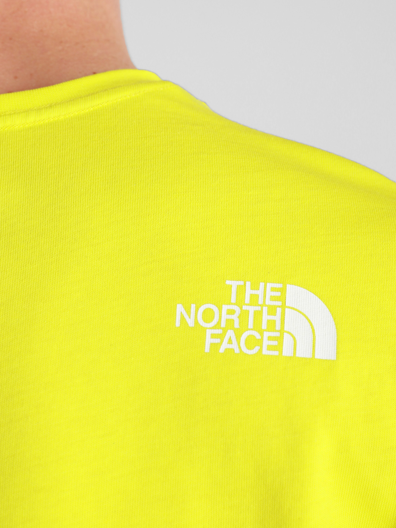 Футболки і поло The North Face S / S Mountain Line Tee модель NF00A3G2JE31 Фото