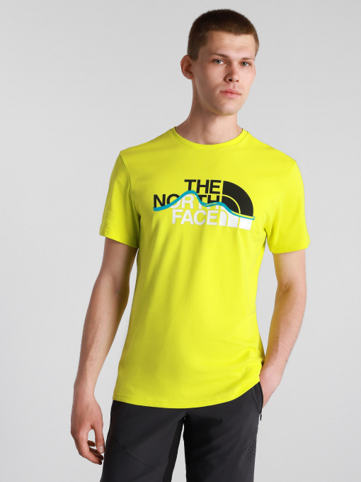 Футболки и поло The North Face S / S Mountain Line Tee модель NF00A3G2JE31 Фото
