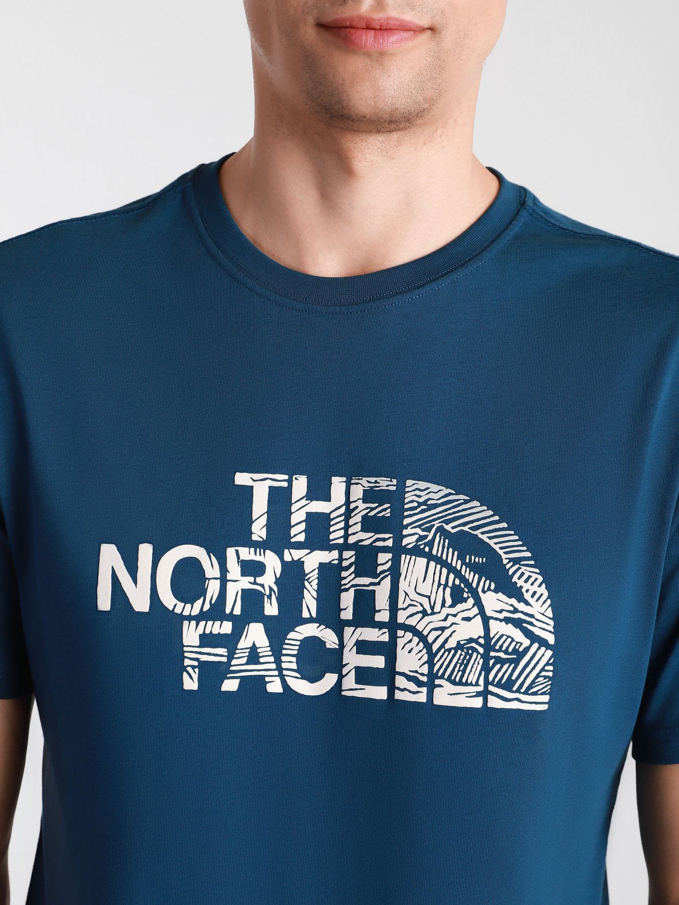 Футболки і поло The North Face Woodcut Dome модель NF00A3G1BH71 Фото
