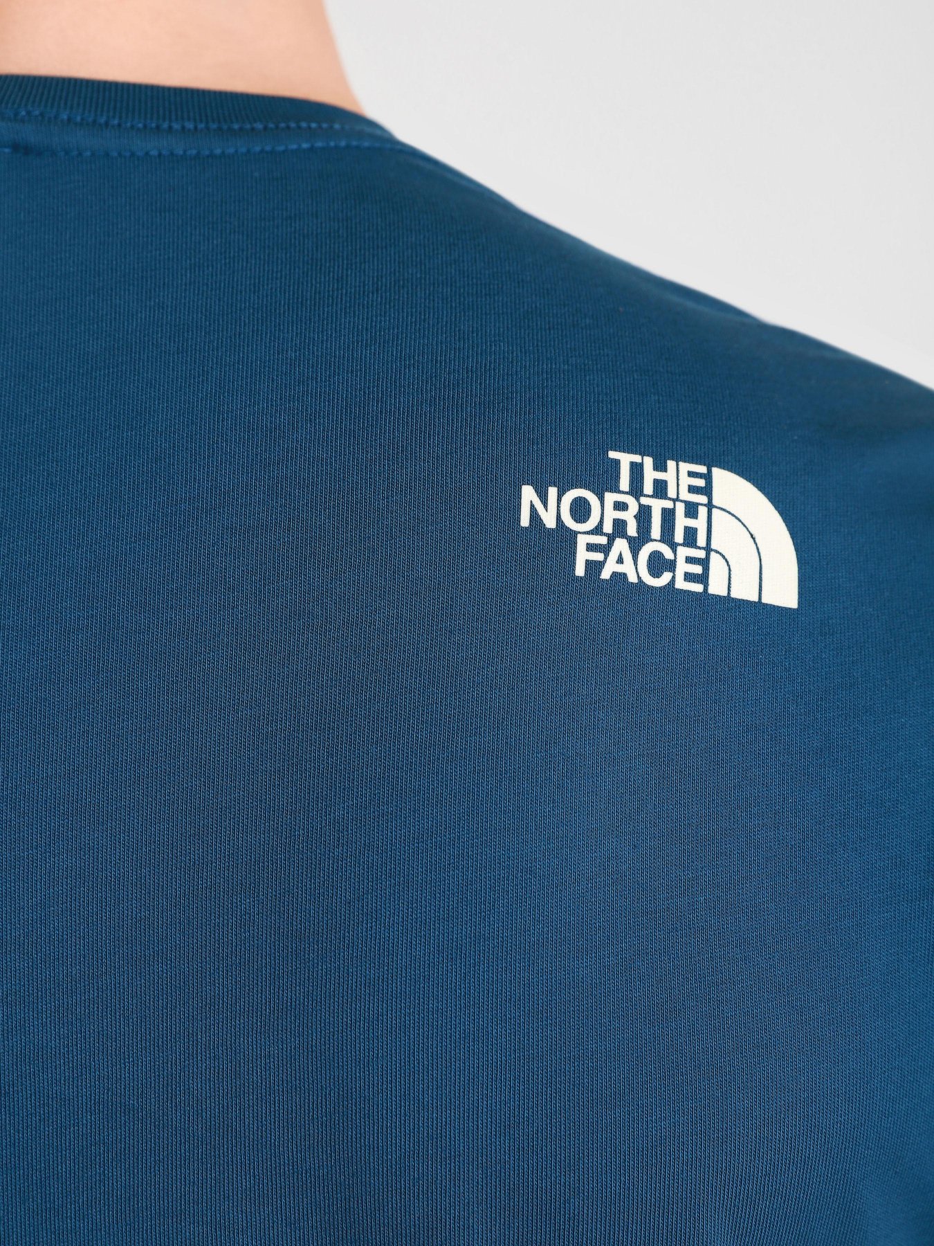 Футболки і поло The North Face Woodcut Dome модель NF00A3G1BH71 Фото