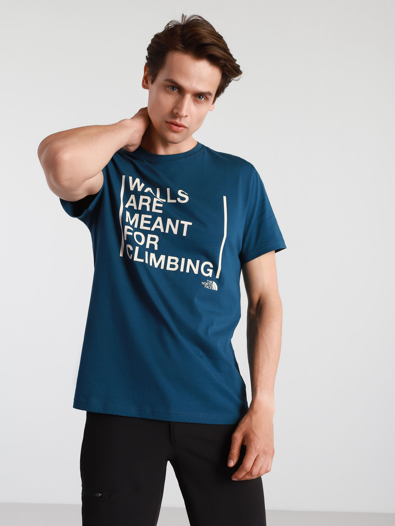 Футболки и поло The North Face WALLS модель NF0A3S3SBH71 Фото