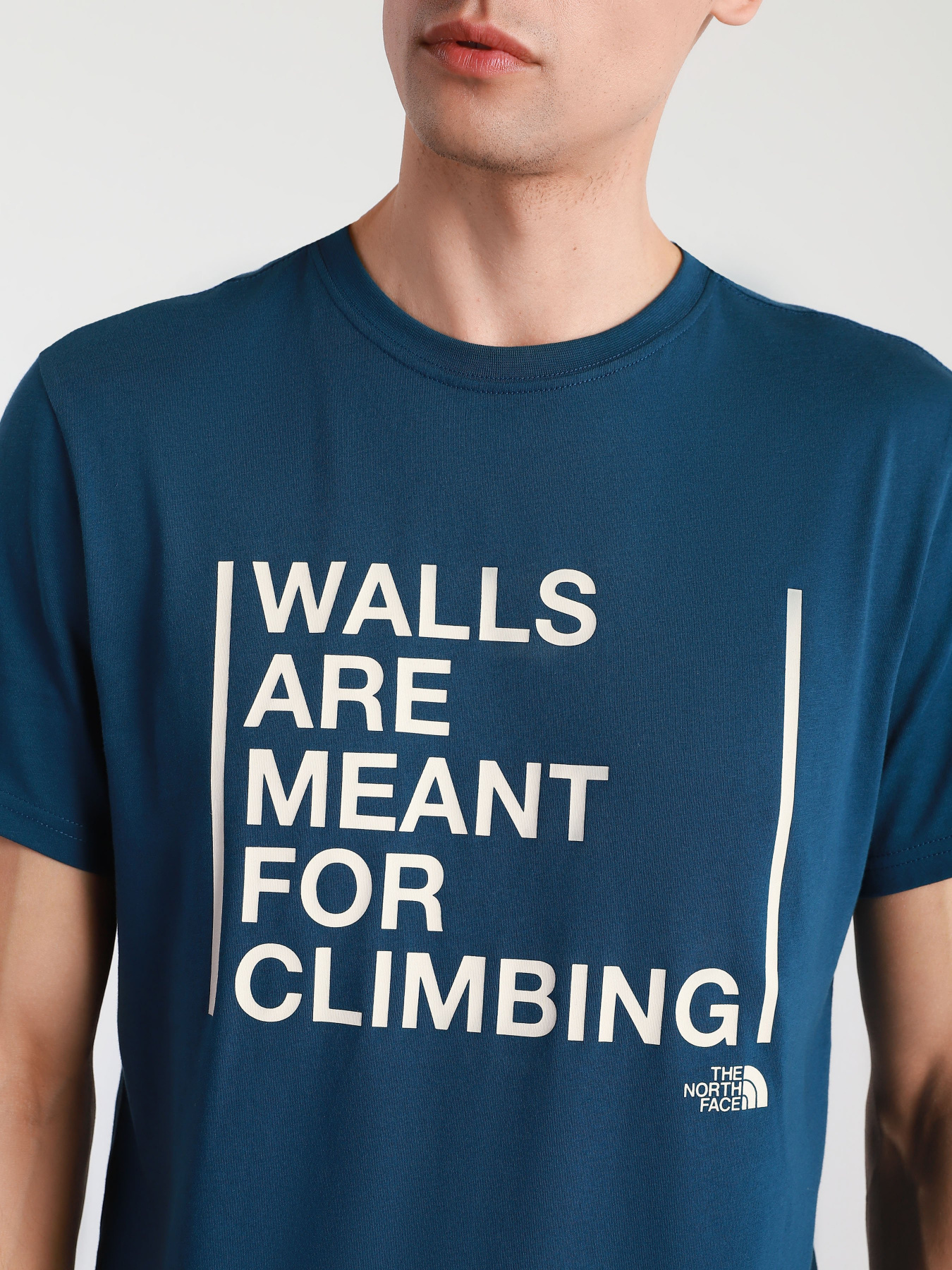 Футболки и поло The North Face WALLS модель NF0A3S3SBH71 Фото