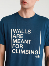 Футболки и поло The North Face WALLS модель NF0A3S3SBH71 Фото