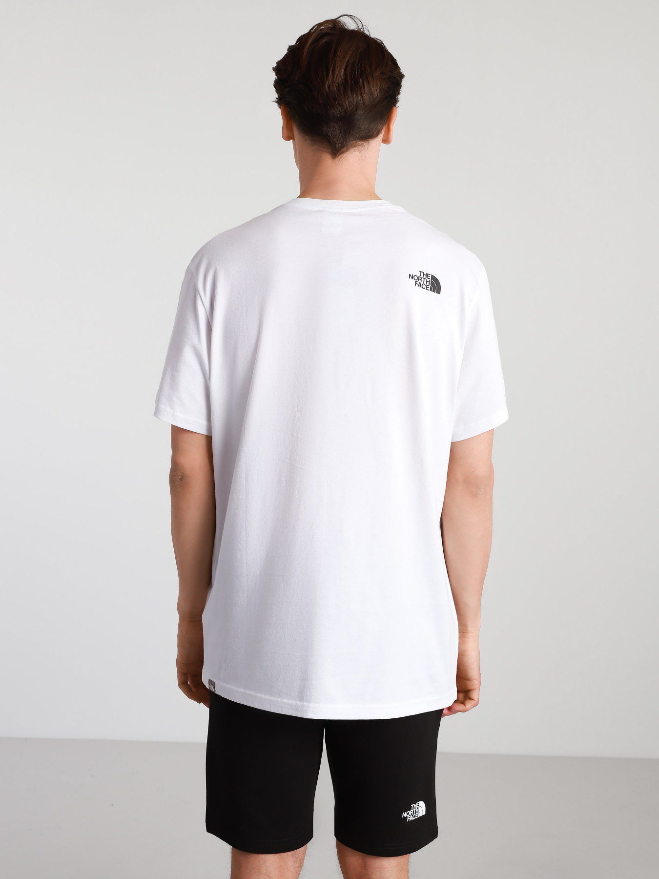 Футболки и поло The North Face Graphic модель NF0A4T1IFN41 Фото