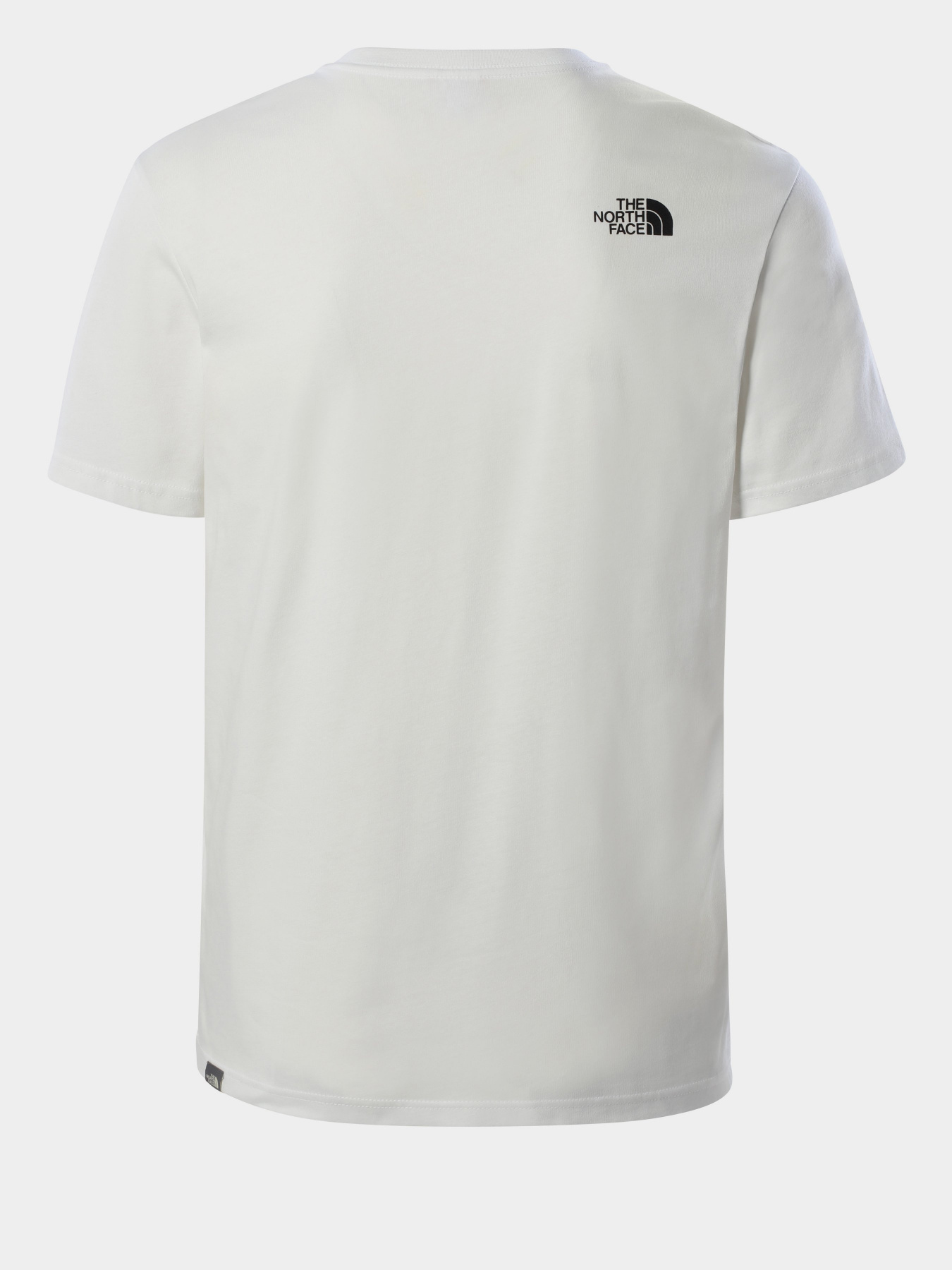 Футболки и поло The North Face Graphic модель NF0A4T1IFN41 Фото