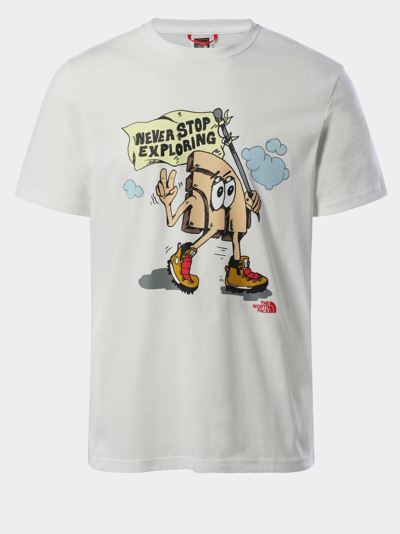 Футболки и поло The North Face Graphic модель NF0A4T1IFN41 Фото