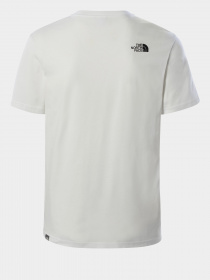 Футболки и поло The North Face Graphic модель NF0A4T1IFN41 Фото