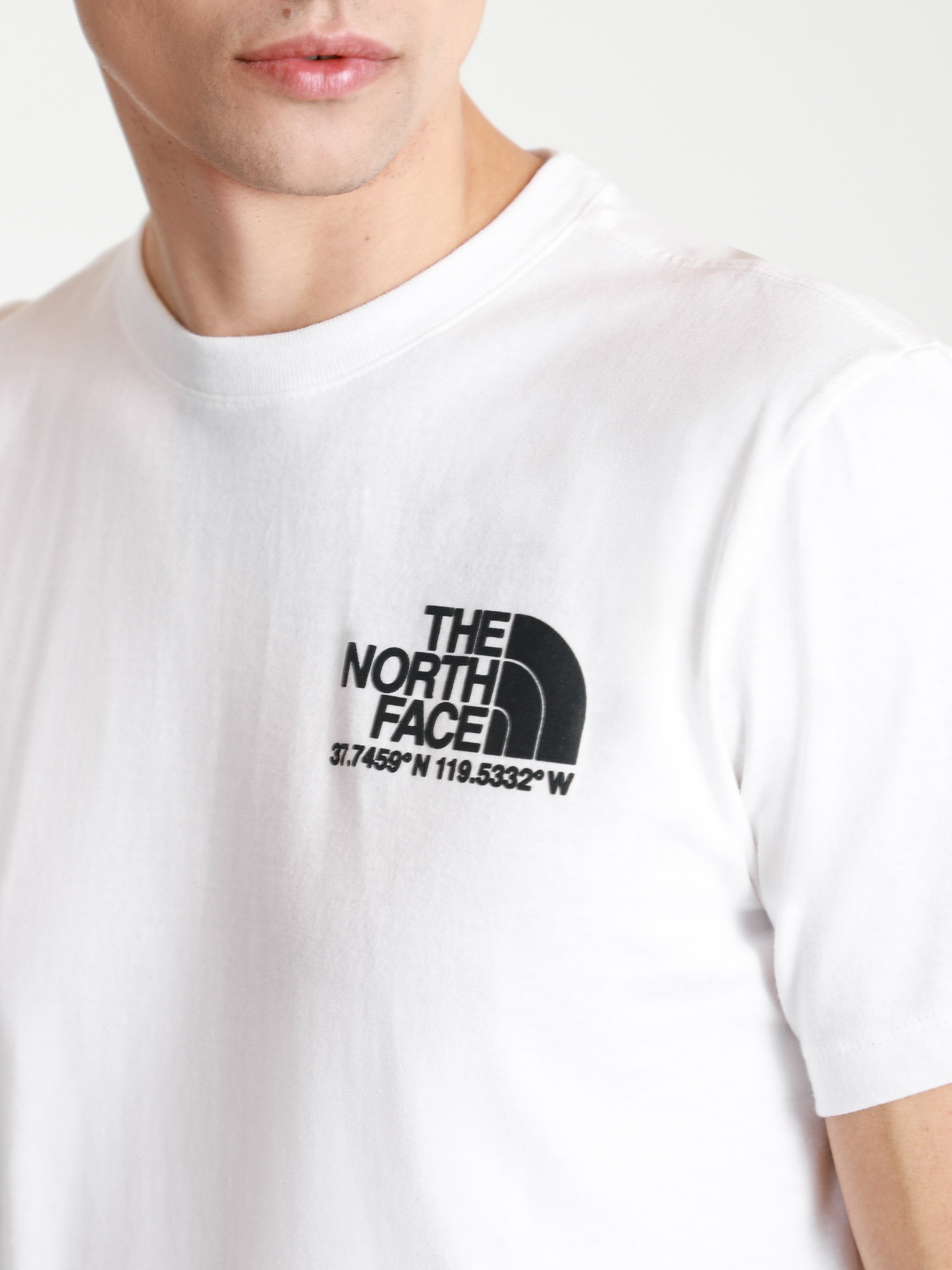 Футболки и поло The North Face COORDINATES модель NF0A52Y8FN41 Фото