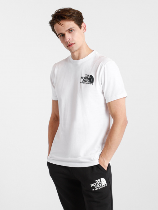 Футболки и поло The North Face COORDINATES модель NF0A52Y8FN41 Фото