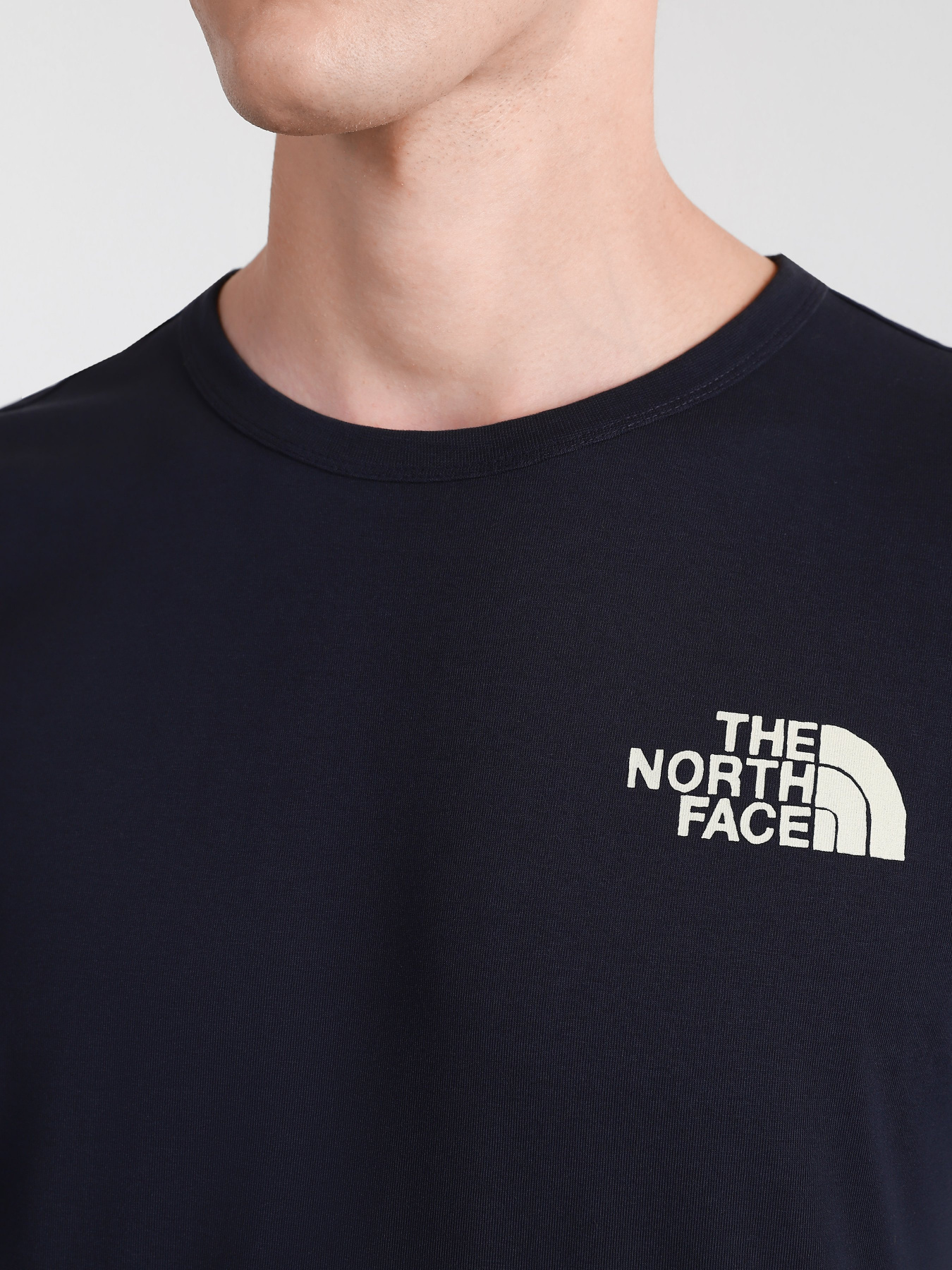 Футболка The North Face Himalayan Bottle Source модель NF0A532LRG11 Фото