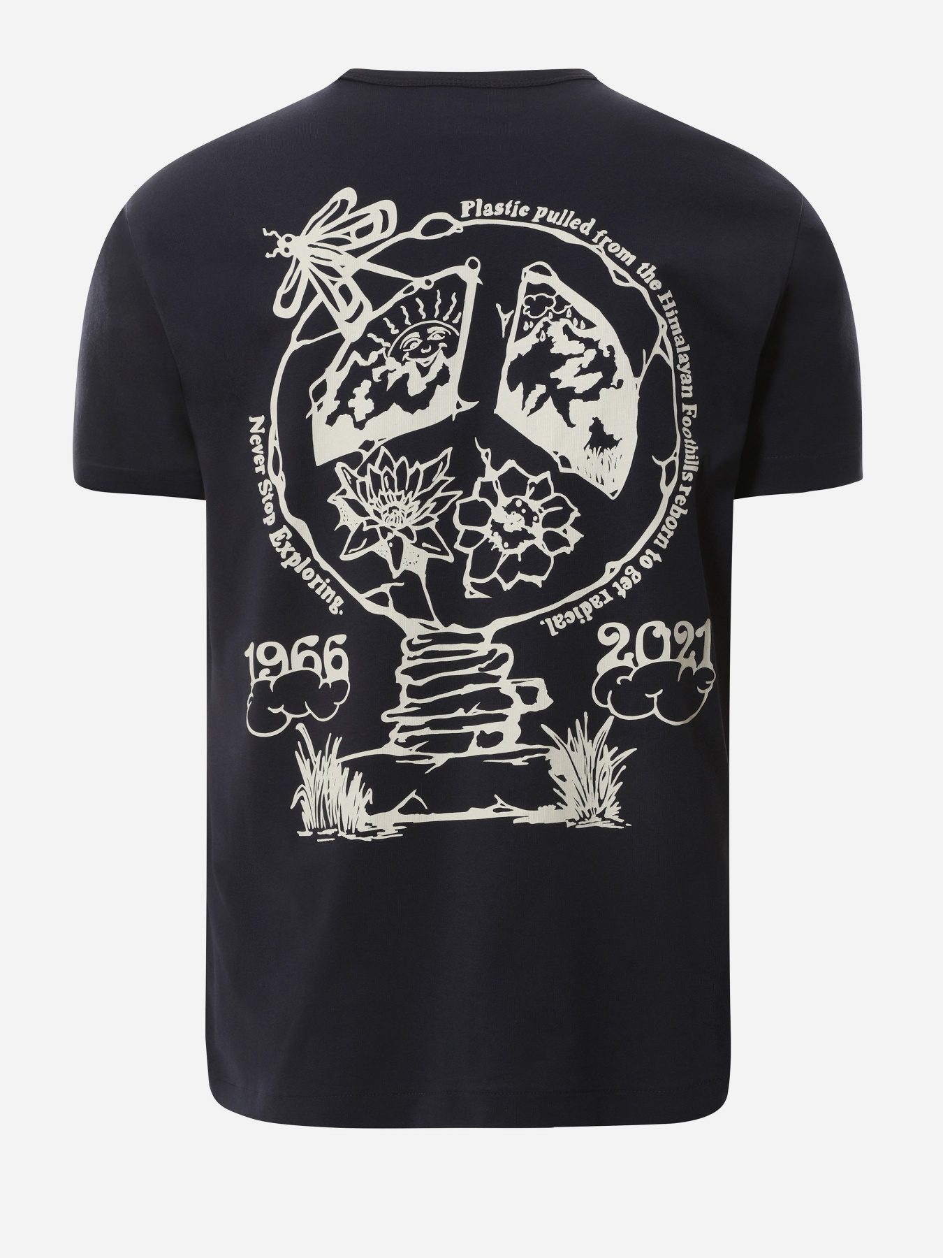 Футболка The North Face Himalayan Bottle Source модель NF0A532LRG11 Фото