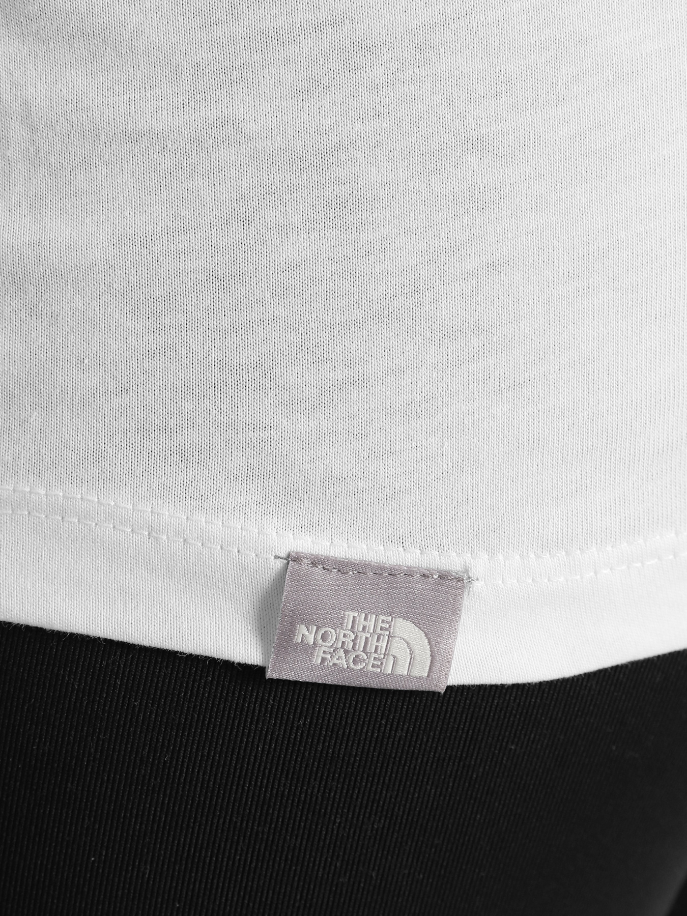 Футболка The North Face Easy модель NF0A4T1QFN41 Фото