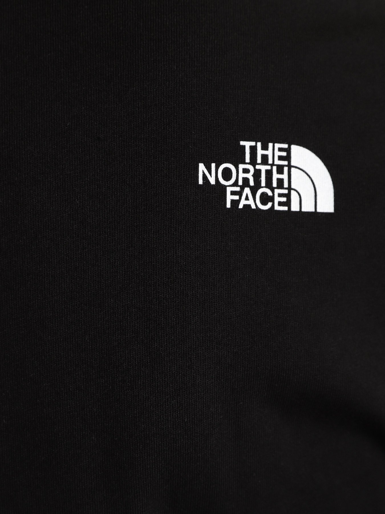 Футболка The North Face Simple Dome модель NF0A4T1AJK31 Фото