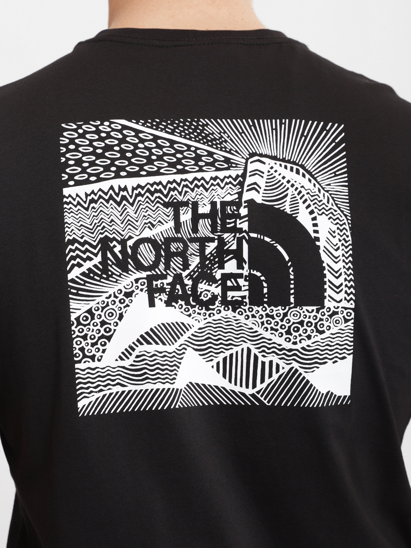 Футболки и поло The North Face REDBOX CELEBRATION модель NF0A2ZXEJK31 Фото