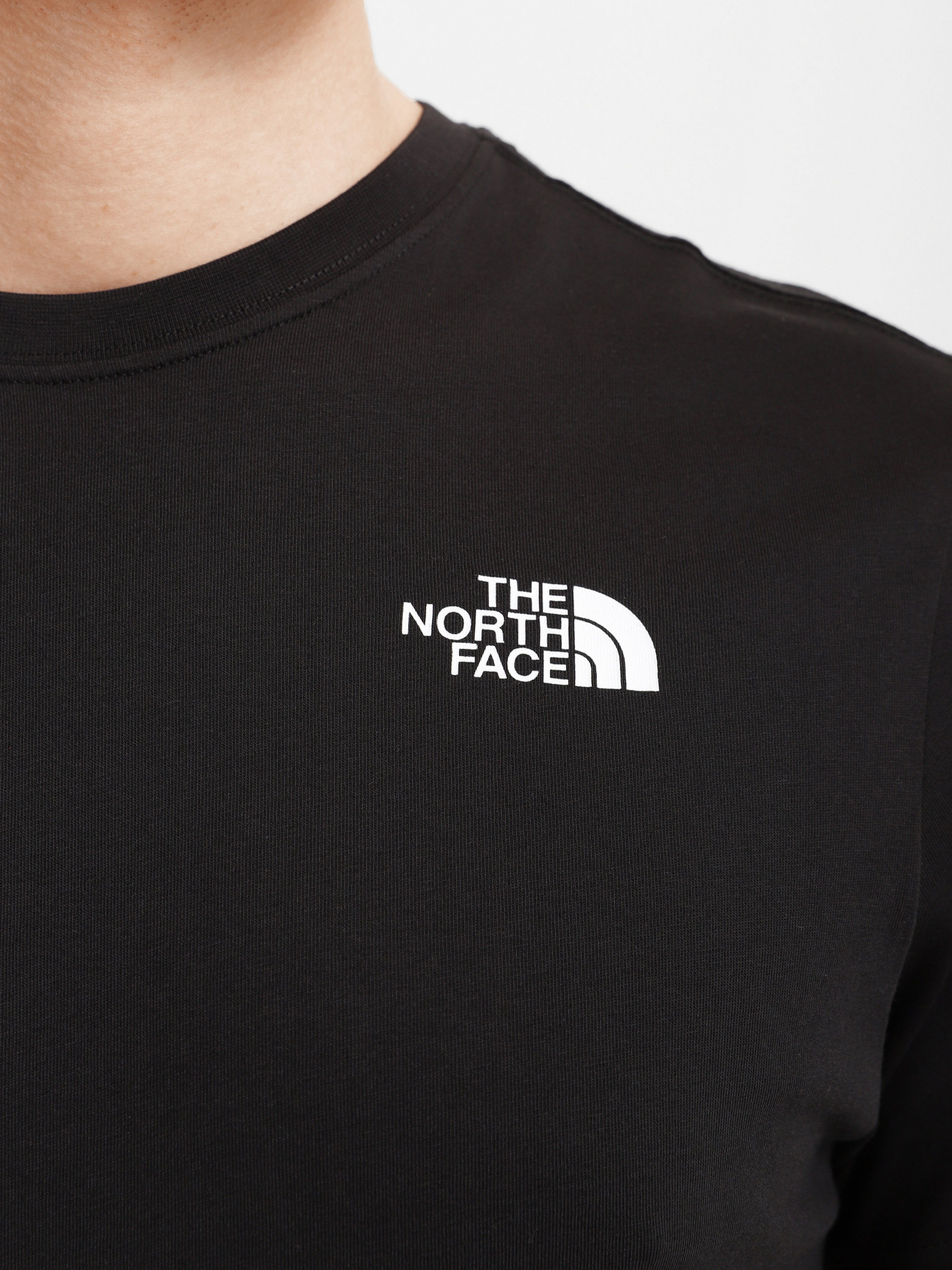 Футболки и поло The North Face REDBOX CELEBRATION модель NF0A2ZXEJK31 Фото