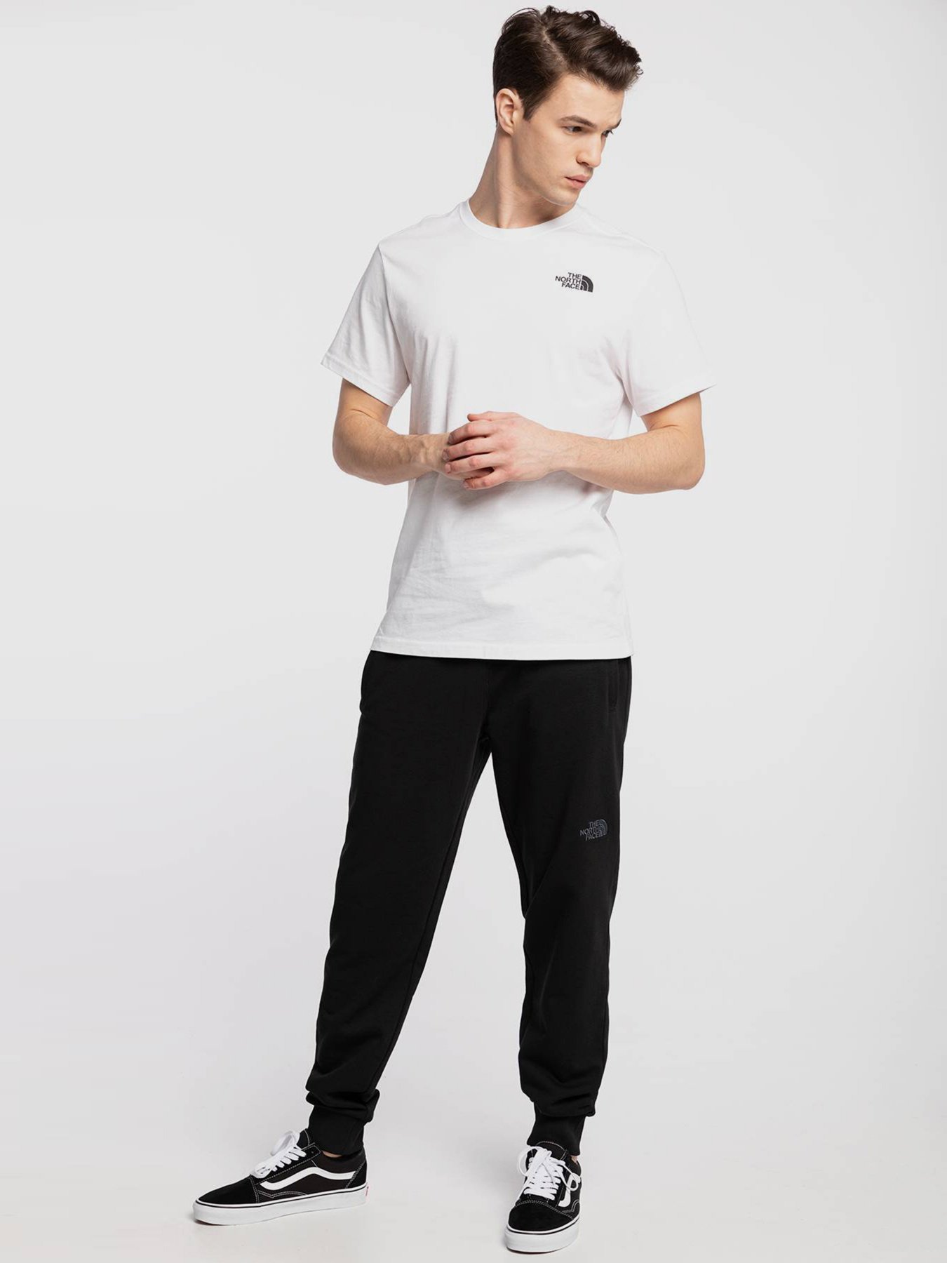 Футболки і поло The North Face REDBOX CELEBRATION модель NF0A2ZXELA91 Фото