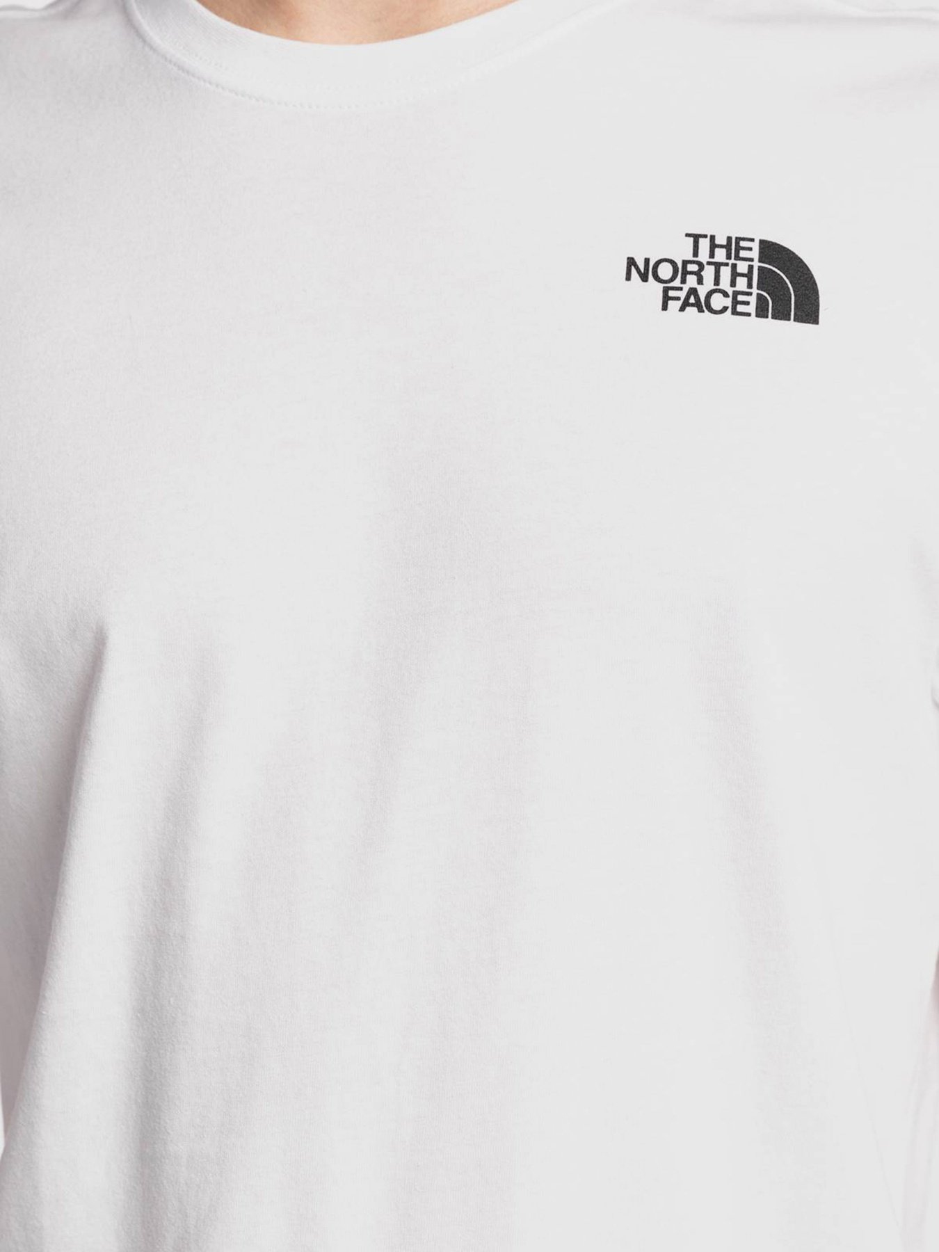 Футболки і поло The North Face REDBOX CELEBRATION модель NF0A2ZXELA91 Фото