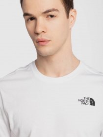 Футболки і поло The North Face REDBOX CELEBRATION модель NF0A2ZXELA91 Фото