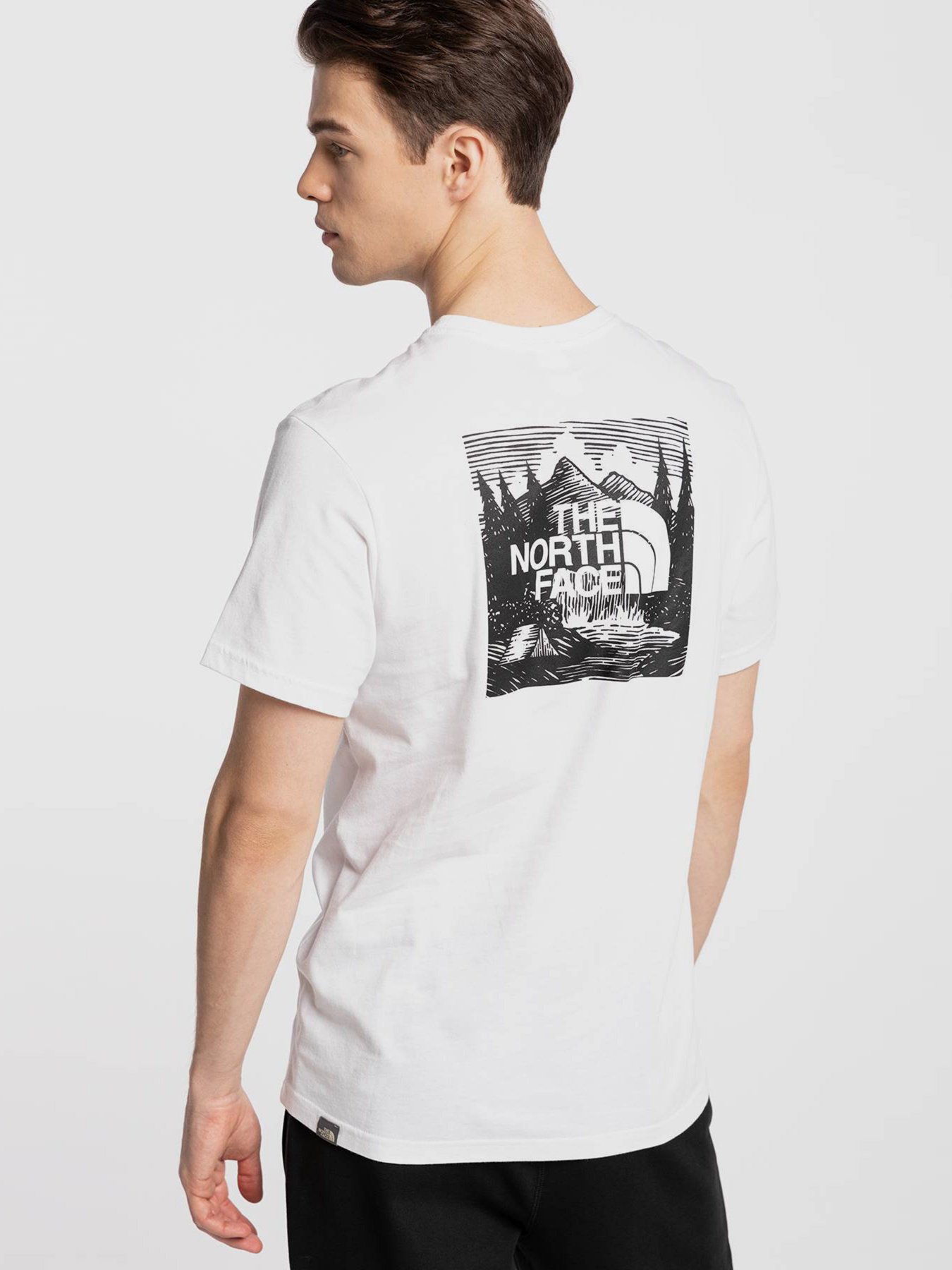 Футболки і поло The North Face REDBOX CELEBRATION модель NF0A2ZXELA91 Фото