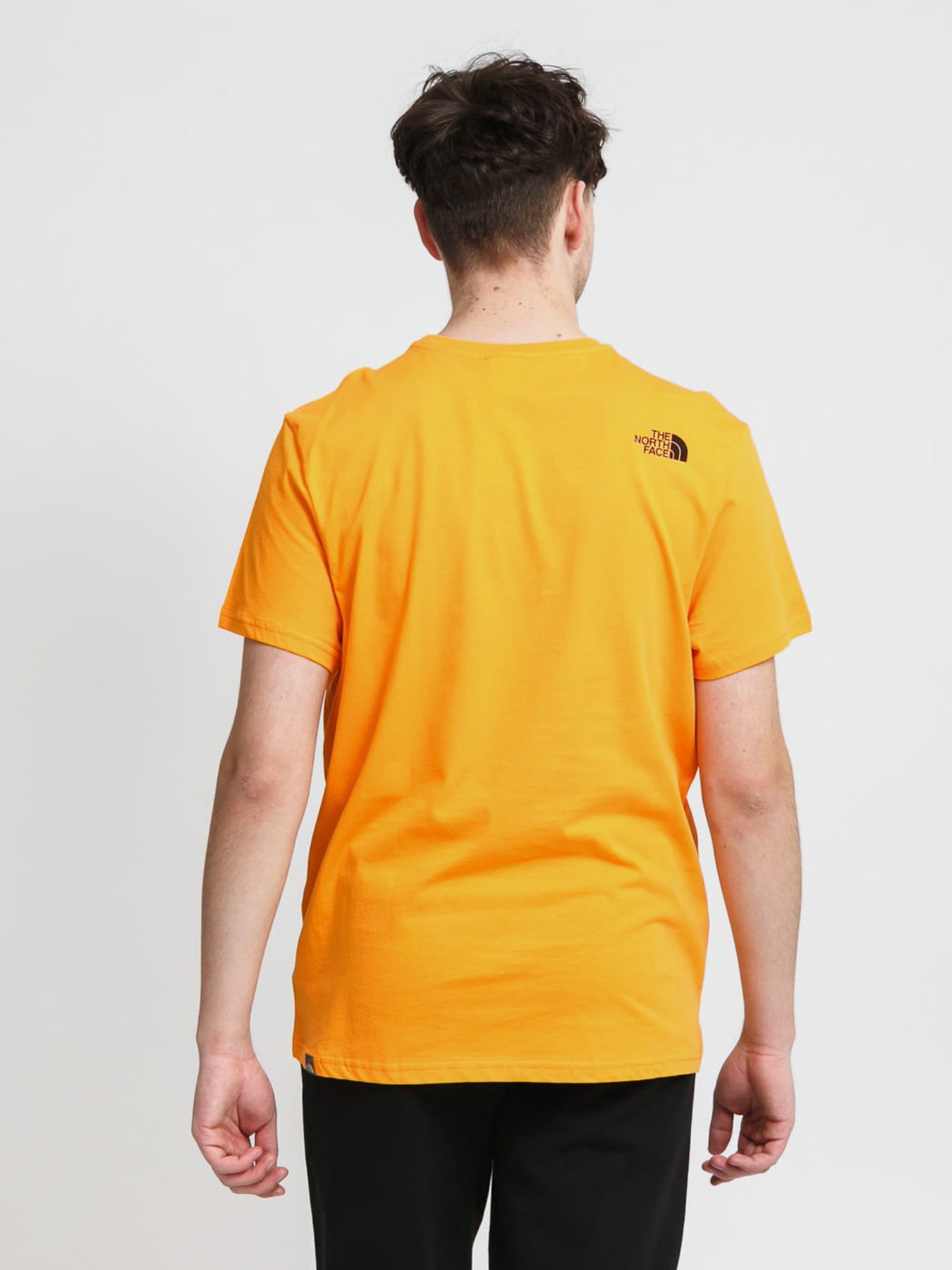 Футболки и поло The North Face  Simple Dome модель NF0A2TX5PKH1 Фото