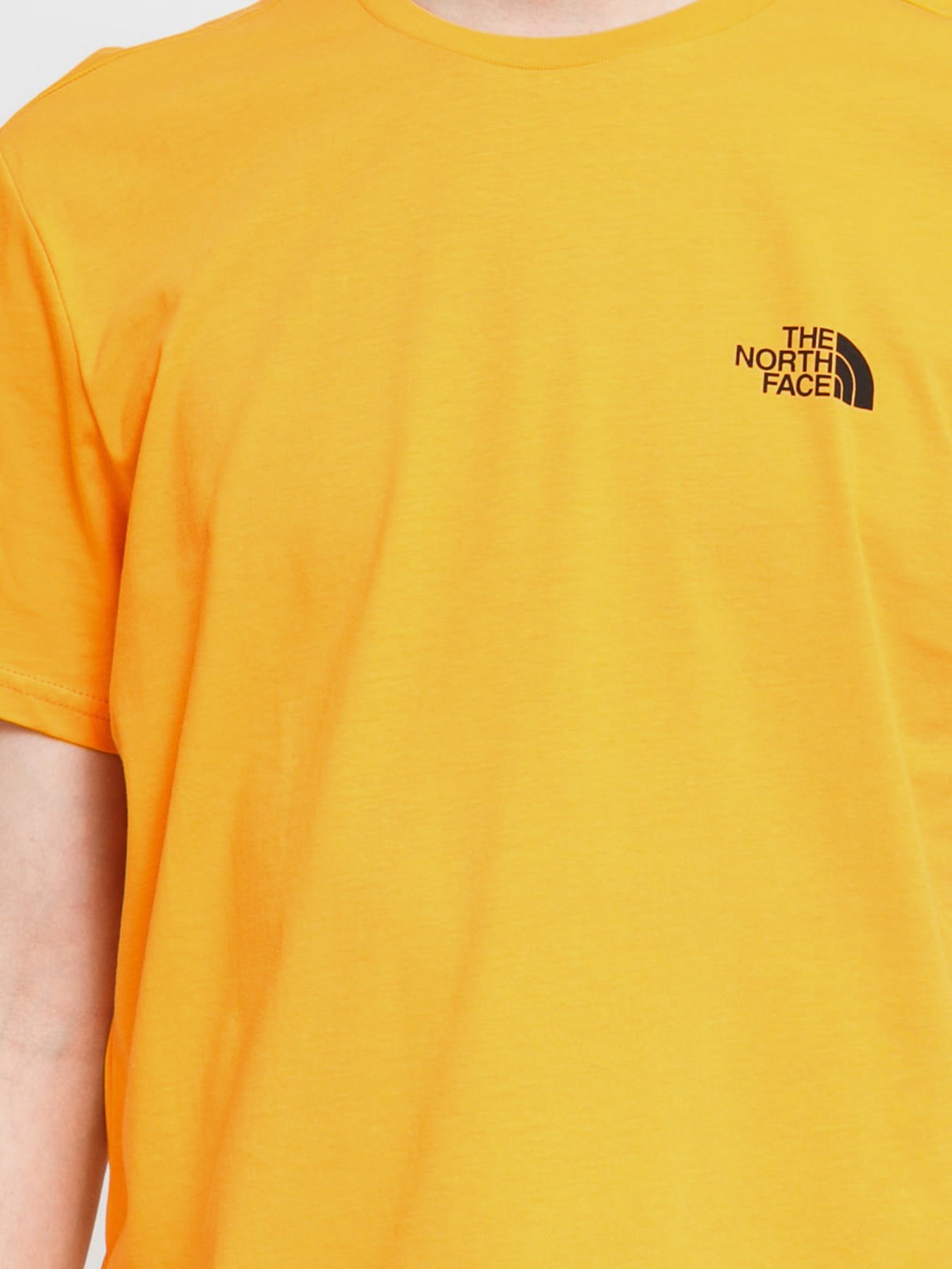 Футболки и поло The North Face  Simple Dome модель NF0A2TX5PKH1 Фото