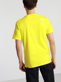 Футболка The North Face NEVER STOP EXPLORING модель NF0A2TX4JE31 Фото