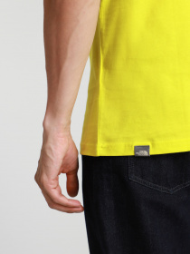 Футболка The North Face NEVER STOP EXPLORING модель NF0A2TX4JE31 Фото