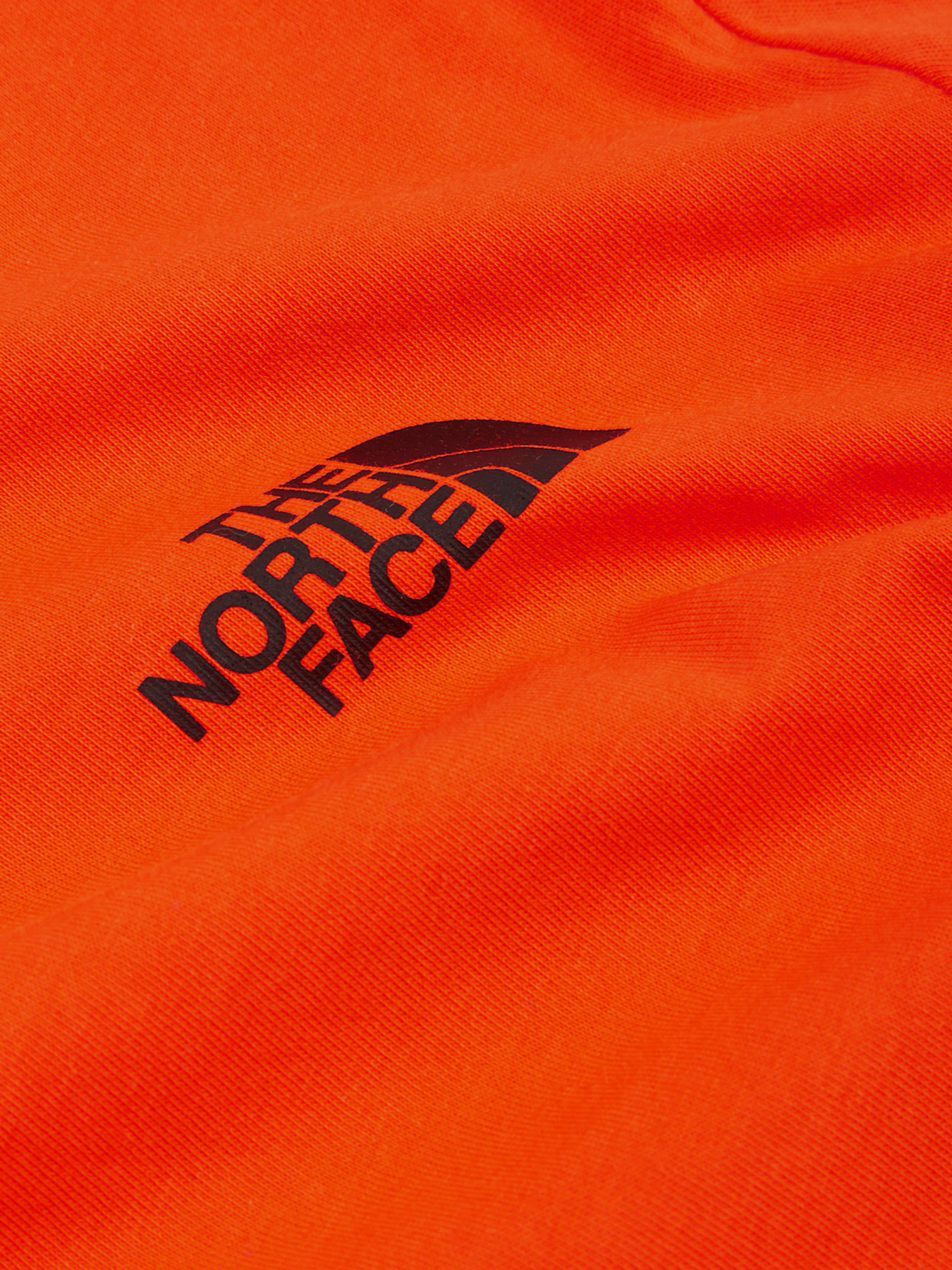 Футболка The North Face Red Box Flame модель NF0A2TX2V3Q1 Фото