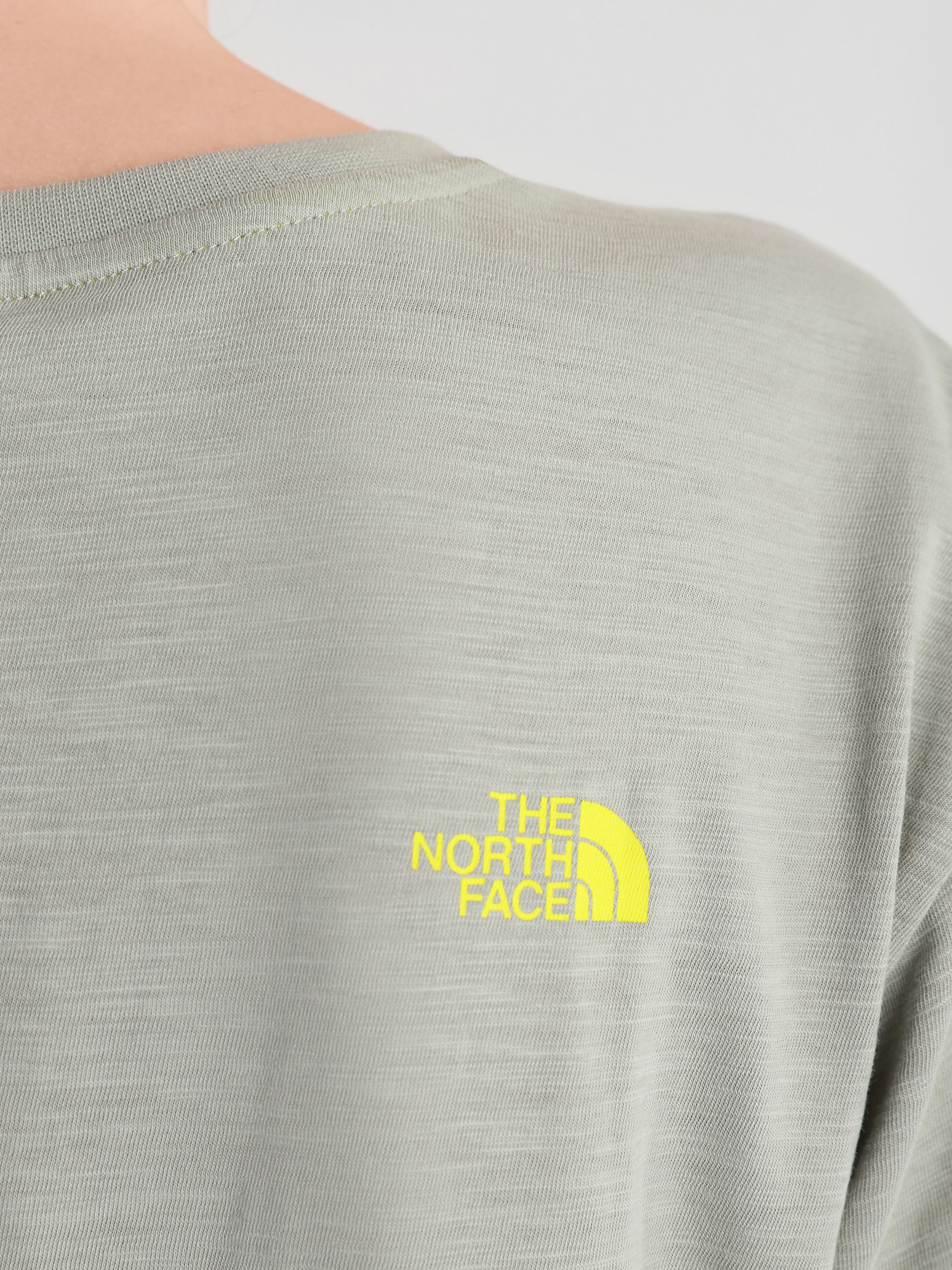 Футболка The North Face Campen модель NF0A4T17HDF1 Фото