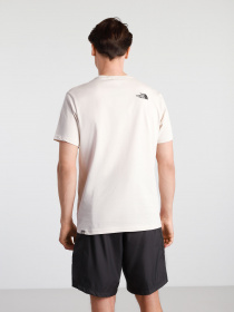 Футболки и поло The North Face NATURAL WONDERS модель NF0A4T1G11P1 Фото