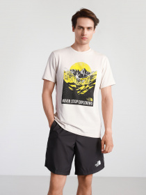 Футболки и поло The North Face NATURAL WONDERS модель NF0A4T1G11P1 Фото