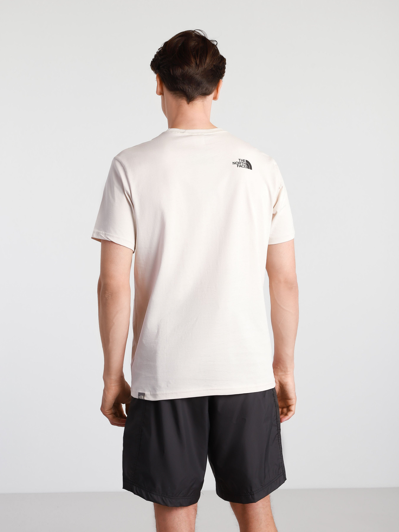 Футболки і поло The North Face NATURAL WONDERS модель NF0A4T1G11P1 Фото