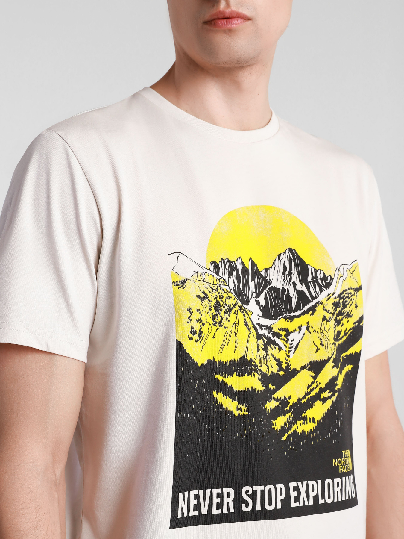 Футболки і поло The North Face NATURAL WONDERS модель NF0A4T1G11P1 Фото