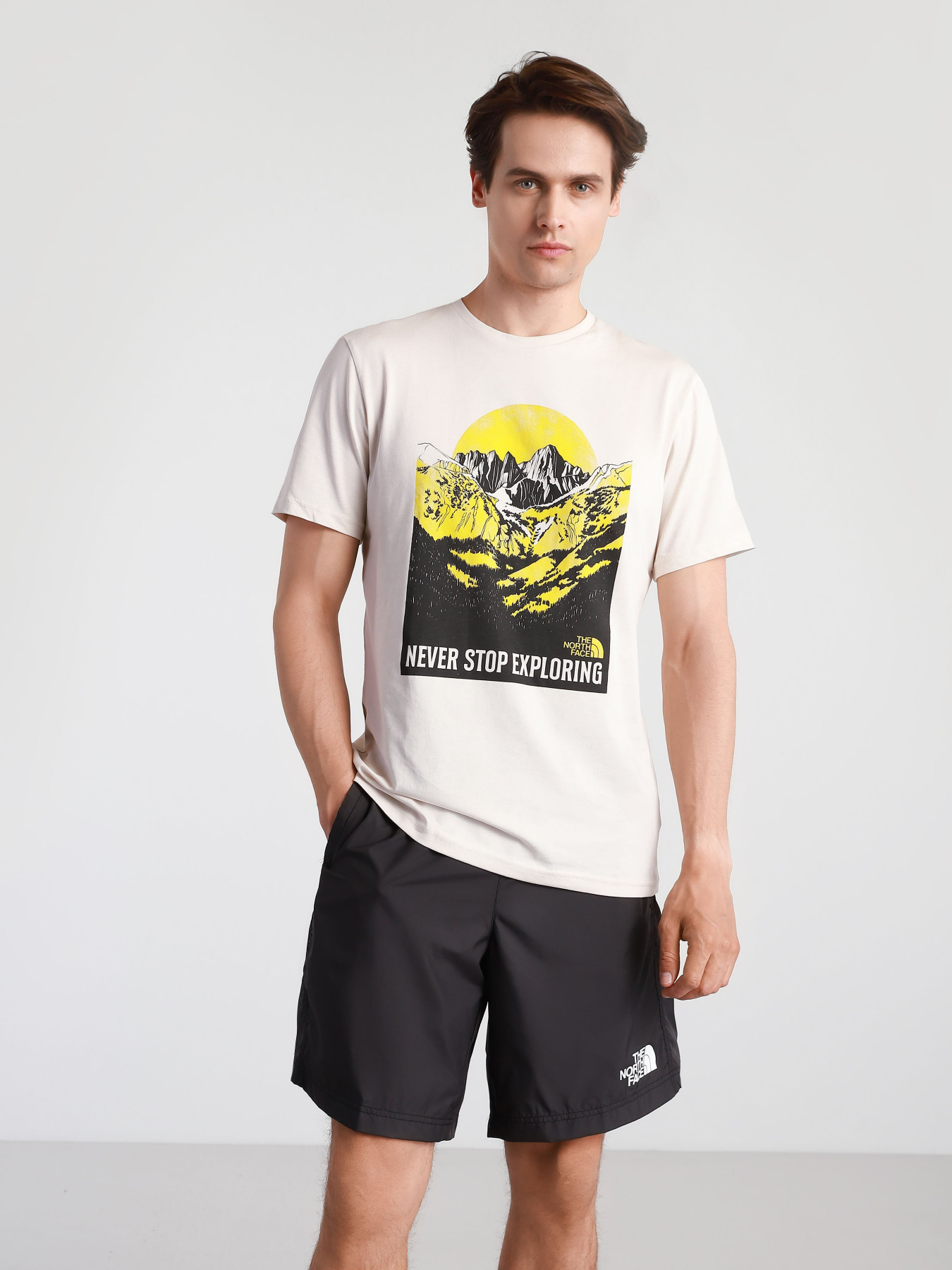 Футболки і поло The North Face NATURAL WONDERS модель NF0A4T1G11P1 Фото