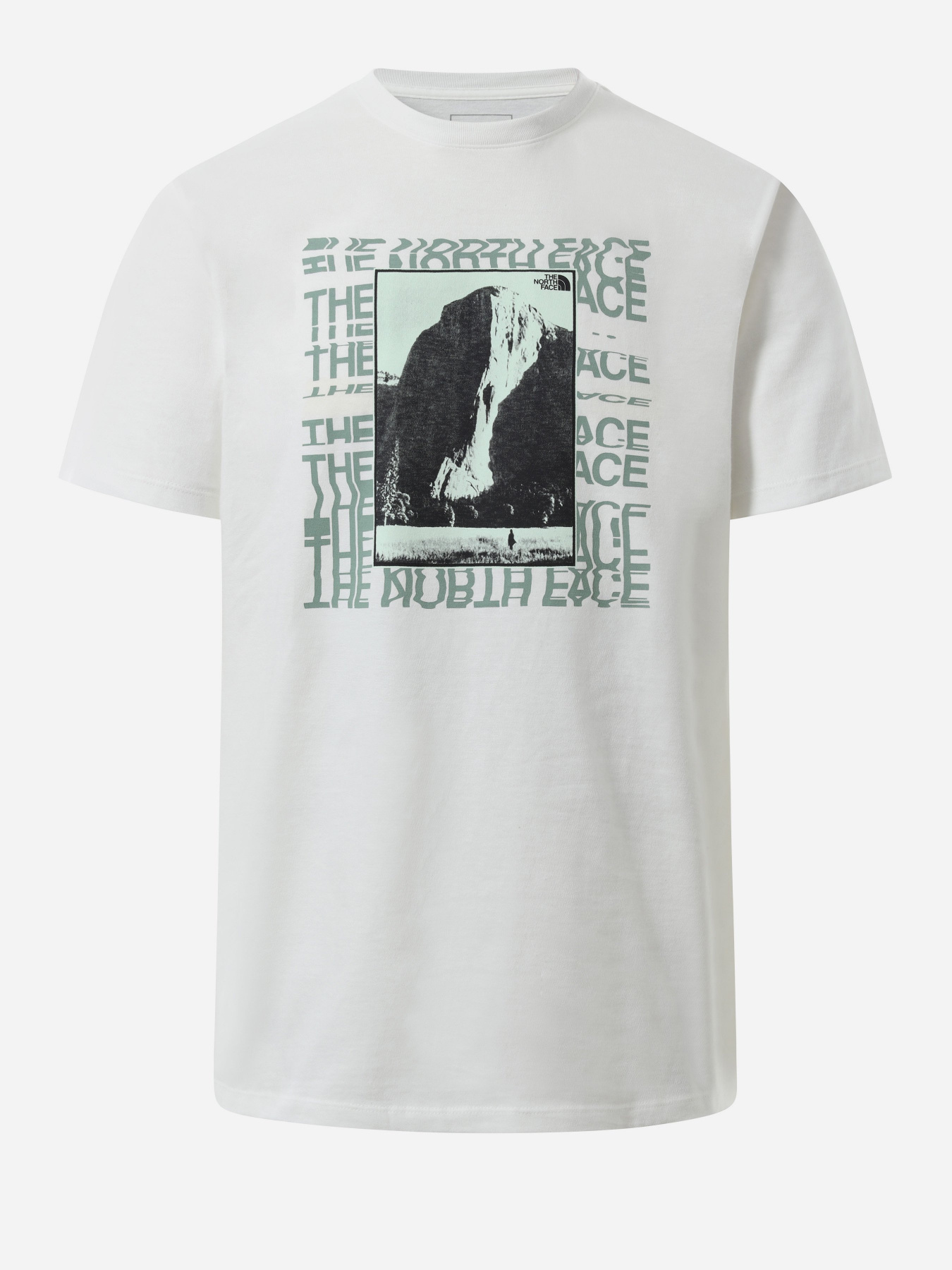 Футболки и поло The North Face WARPED TYPE GRAPHIC модель NF0A55TNFN41 Фото