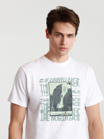 Футболки и поло The North Face WARPED TYPE GRAPHIC модель NF0A55TNFN41 Фото