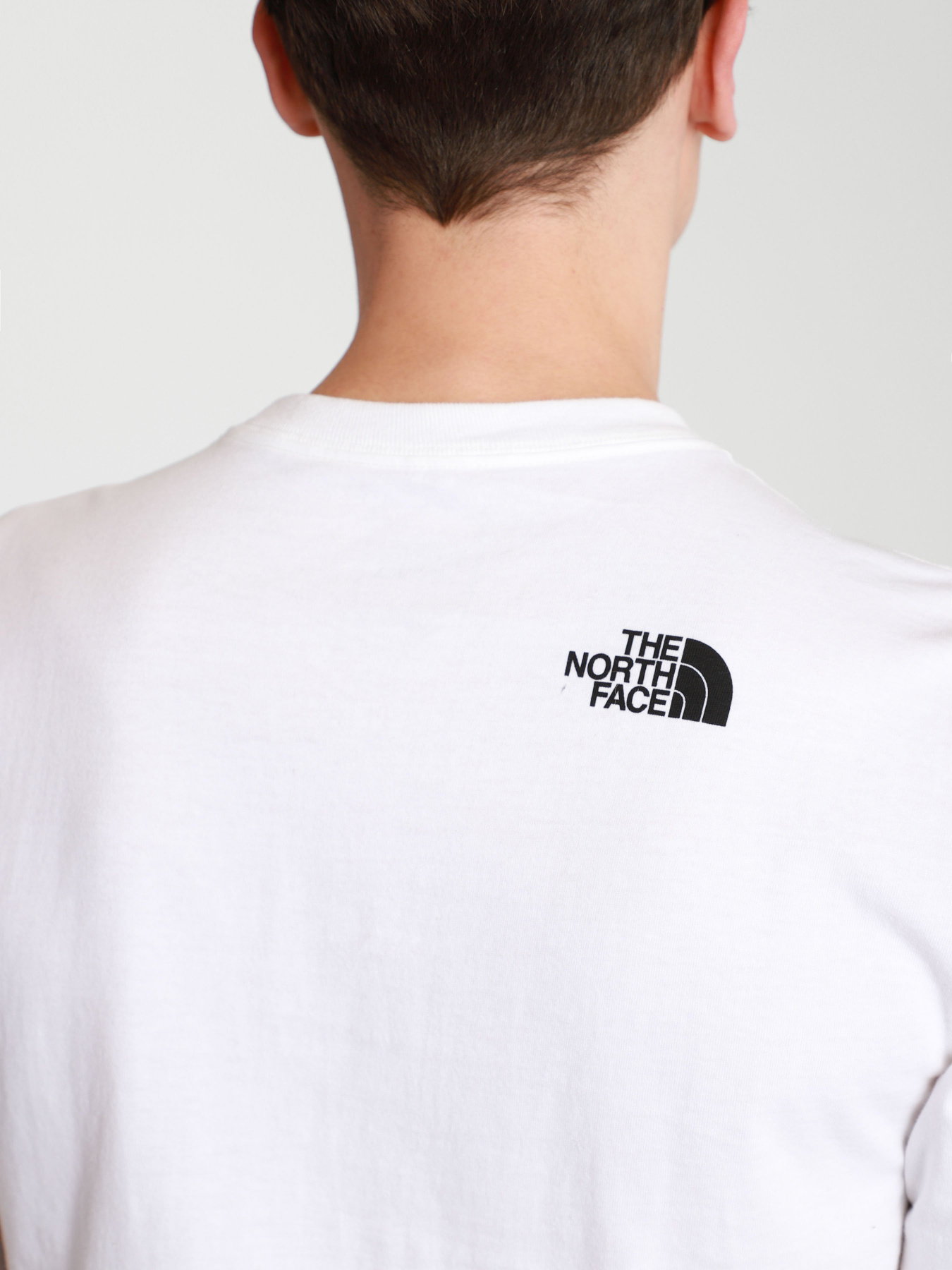 Футболки і поло The North Face WARPED TYPE GRAPHIC модель NF0A55TNFN41 Фото