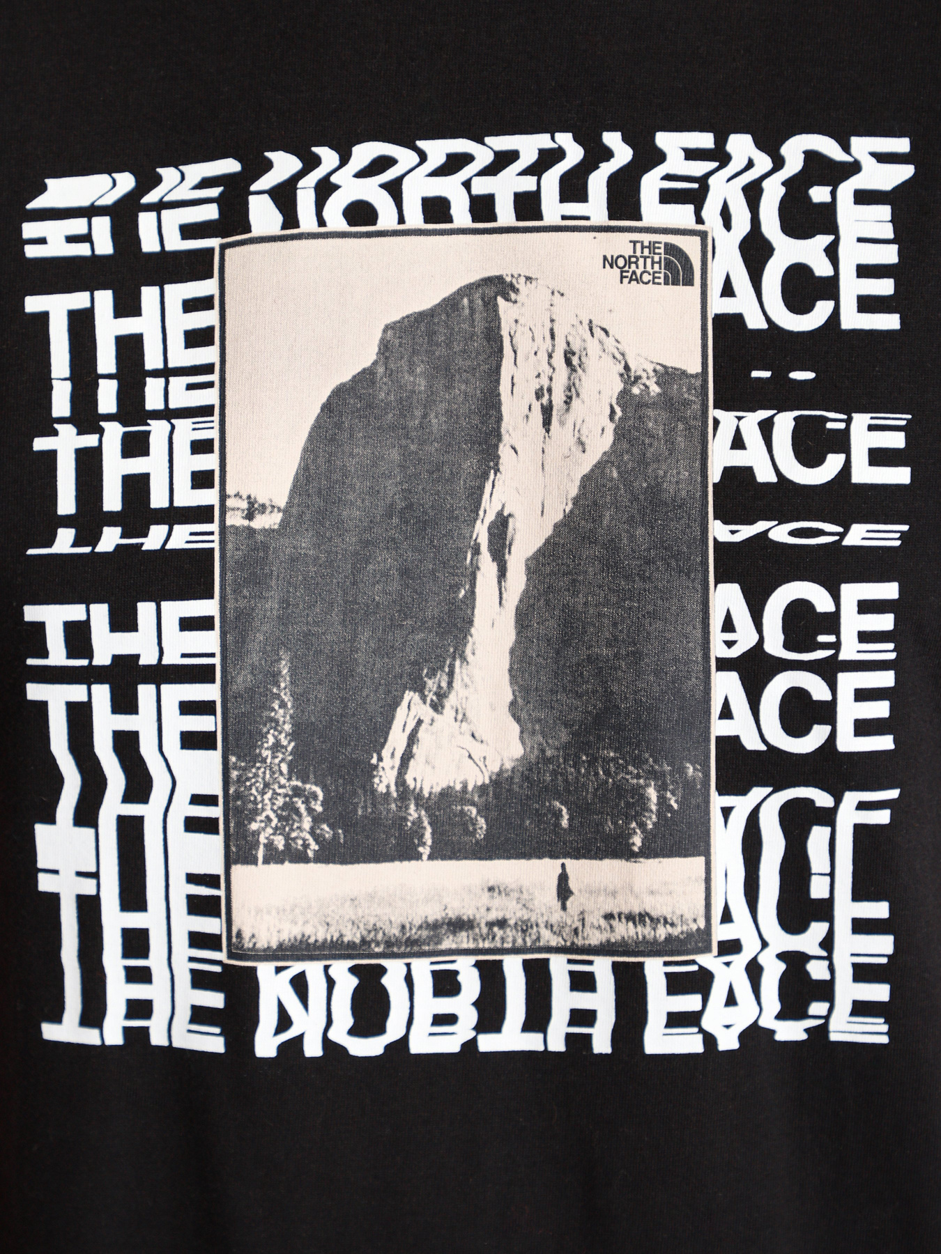Футболки и поло The North Face WARPED TYPE GRAPHIC модель NF0A55TNJK31 Фото